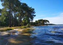 Les meilleures activités à faire au lac Biscarrosse