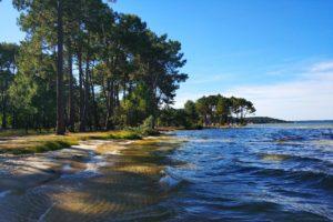 Les meilleures activités à faire au lac Biscarrosse