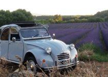 Partez à la conquête des Lavandes en 2CV cet été !