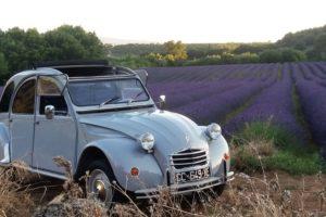 Partez à la conquête des Lavandes en 2CV cet été !