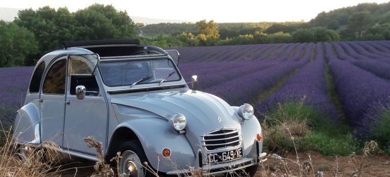 location 2 CV Provence