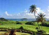 Pour un séjour réussi en Martinique