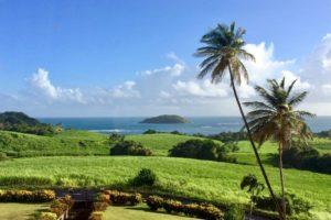 Pour un séjour réussi en Martinique