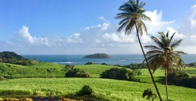 martinique