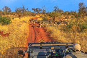 5 astuces pour réussir votre voyage en Afrique du Sud