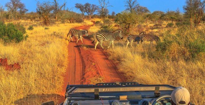 voyage-en-Afrique-du-Sud