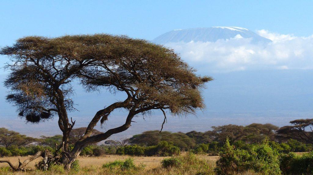 Trekking Kilimandjaro