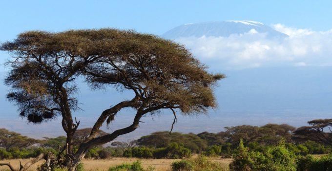 ascension kilimandjaro