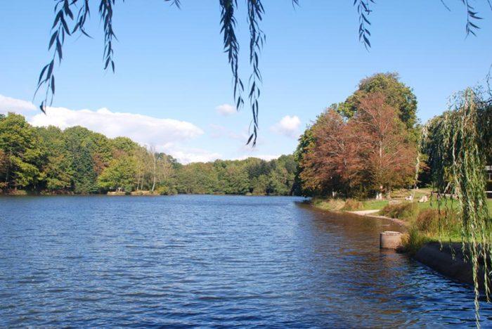 Lieux à visiter en Haute Saône : Lac des 7 chevaux