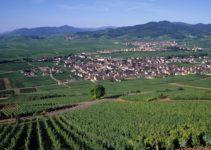 Organiser son séjour dans les Vosges