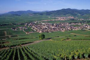 Organiser son séjour dans les Vosges