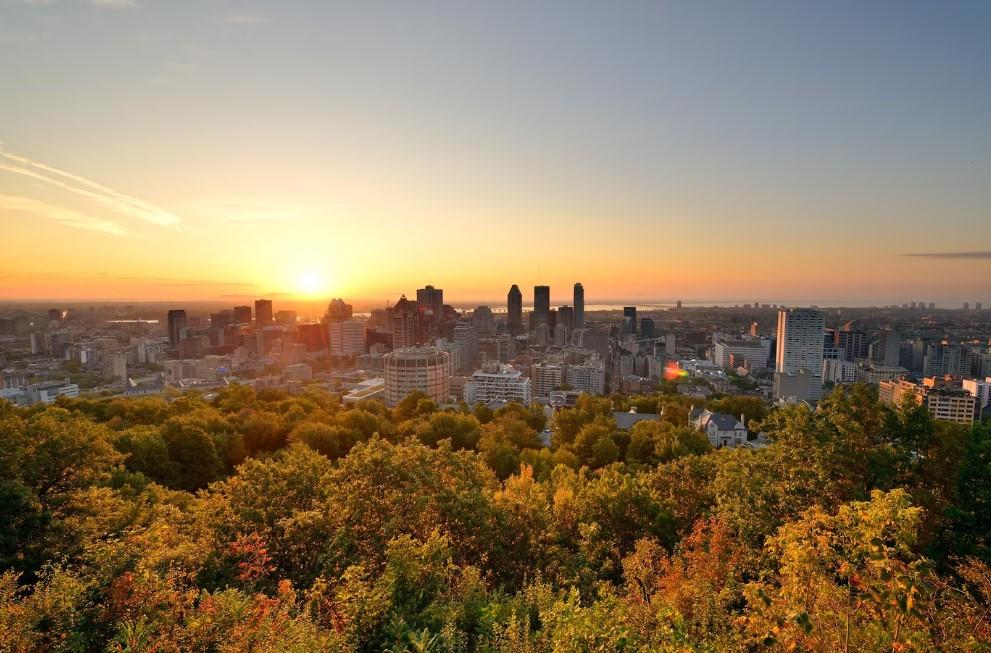 choses à savoir en vivant à Montréal