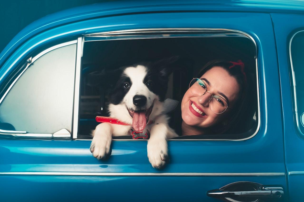 Voyager avec son chien en voiture