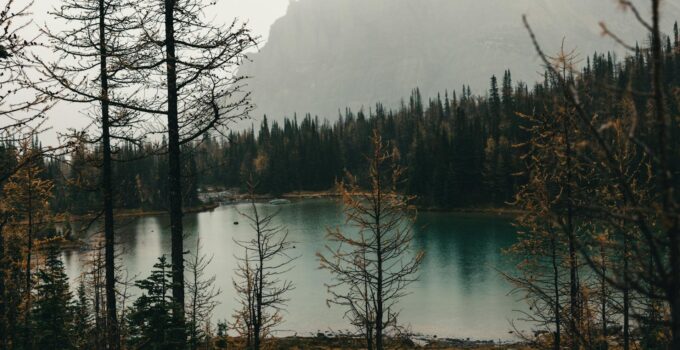 Une vue panoramique sur l'eau dans une aire de camping