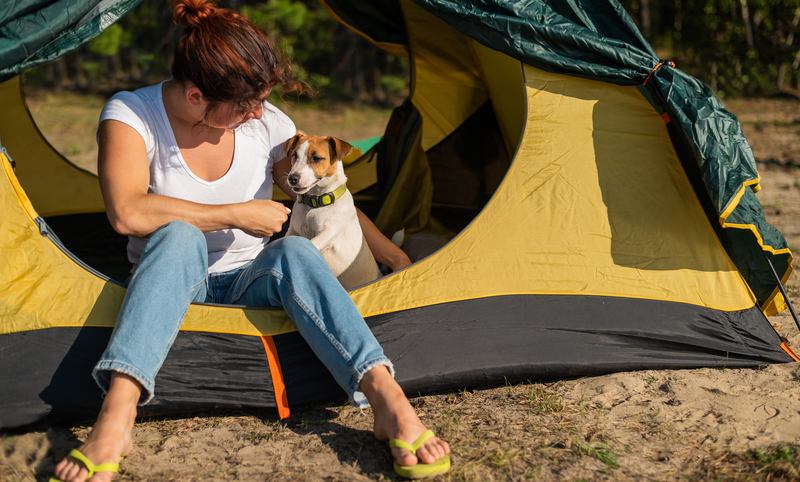 Une femme qui fait du camping avec son chien pour renforcer les liens