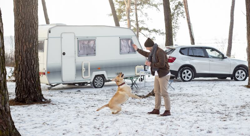 Un homme qui joue avec son chien sur une aire de camping
