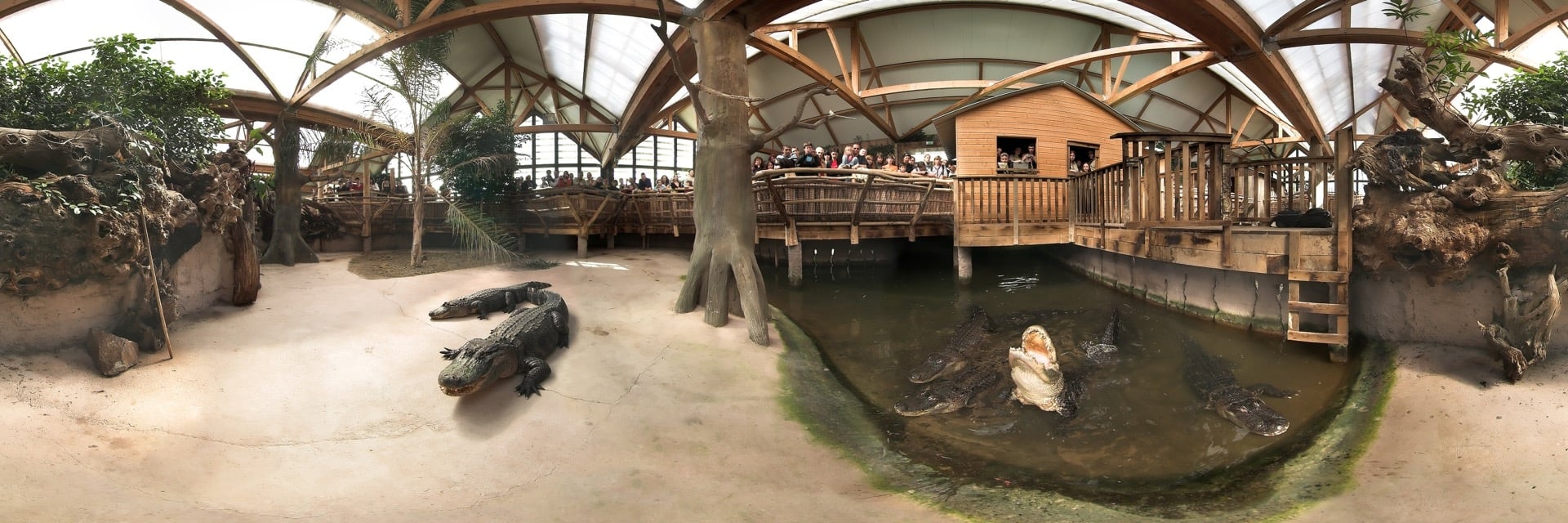 visiter Alligator Bay