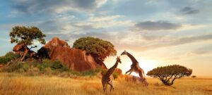 Namibie : Tourisme dangereux ou pour les aventuriers avertis