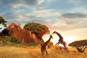 Namibie : destination de rêve ou tourisme dangereux ?