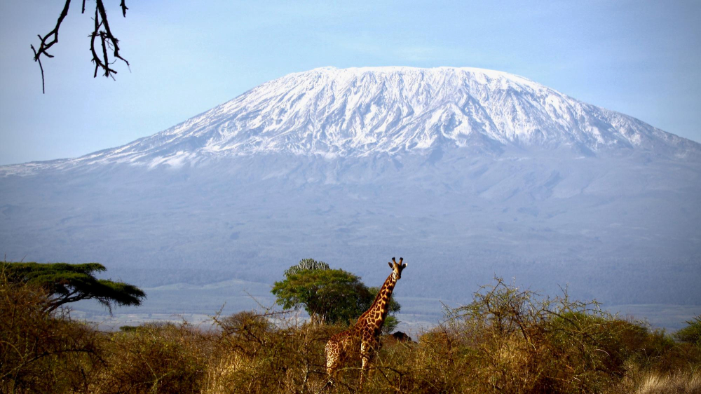 le mont Kilimandjaro