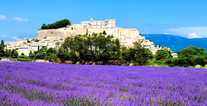Grignan avec champ de lavande