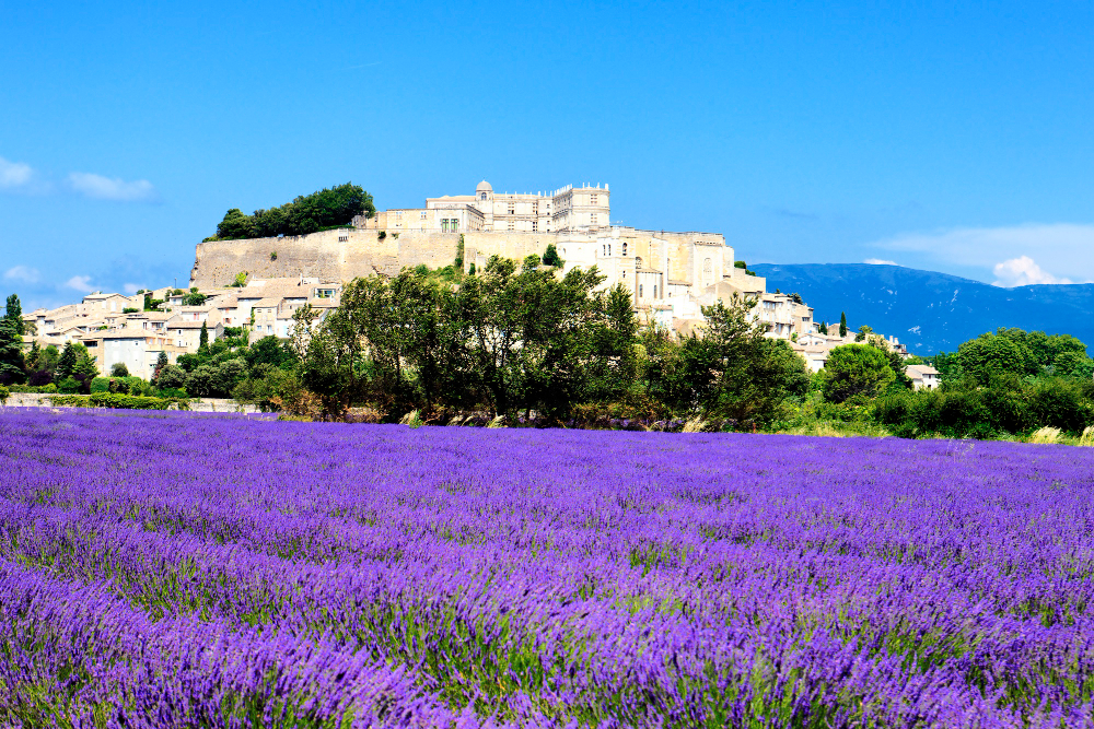 Grignan avec champ de lavande