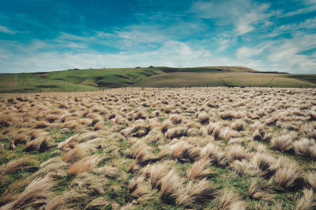 paysage attrayant du Mitchells Plain