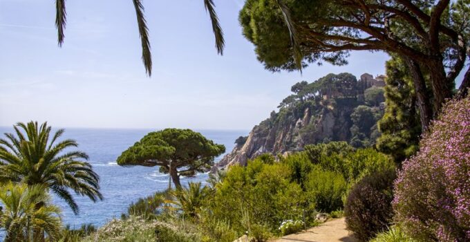 Camping à Majorque + location de voiture : le combo gagnant pour des vacances en toute liberté