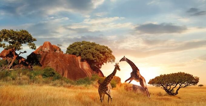 Durée de vol : voyager en Afrique-du-Sud