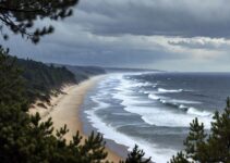 Que faire quand il pleut dans les Landes ? Que faire quand il pleut dans les Landes ?