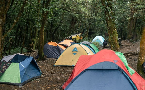 Campement de tentes colorées installé dans une forêt paisible