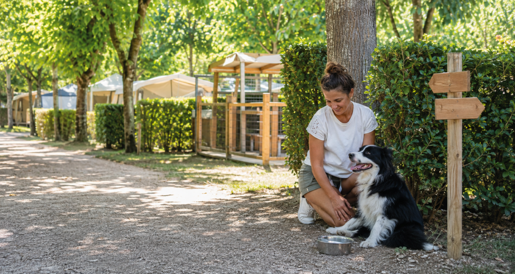 Chien avec sa maîtresse près d’un point d’eau et d’un espace de détente dans un camping ombragé.