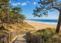 Les meilleurs campings en bord de mer dans les Landes